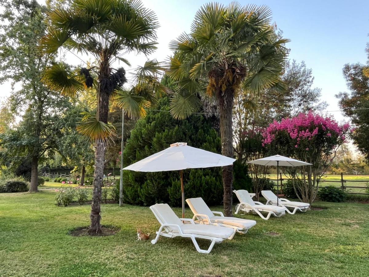Bed & Breakfast ,Casa De Campo San Esteban,Linares Miraflores Exterior photo